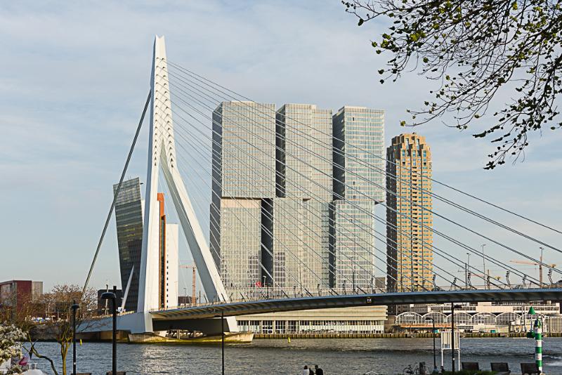 DSC_0121.jpg - Rotterdam