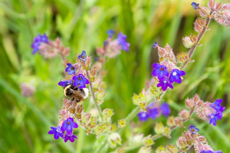 DSC_7347.jpg - Floriade 2022