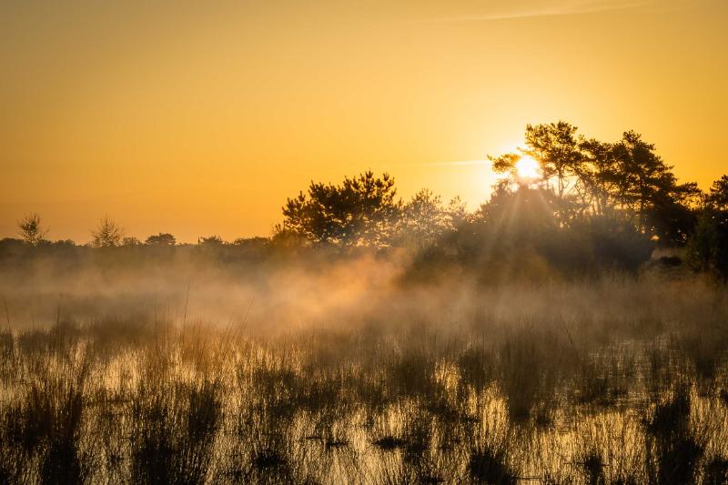 DSC_3717-bewerkt-2-bewerkt.jpg - Zonsondergang