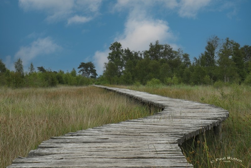 bdPaul-Landschap 3 .JPG - Paul