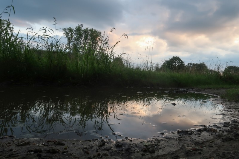 bdRiek-IMG_4730.JPG - Riek