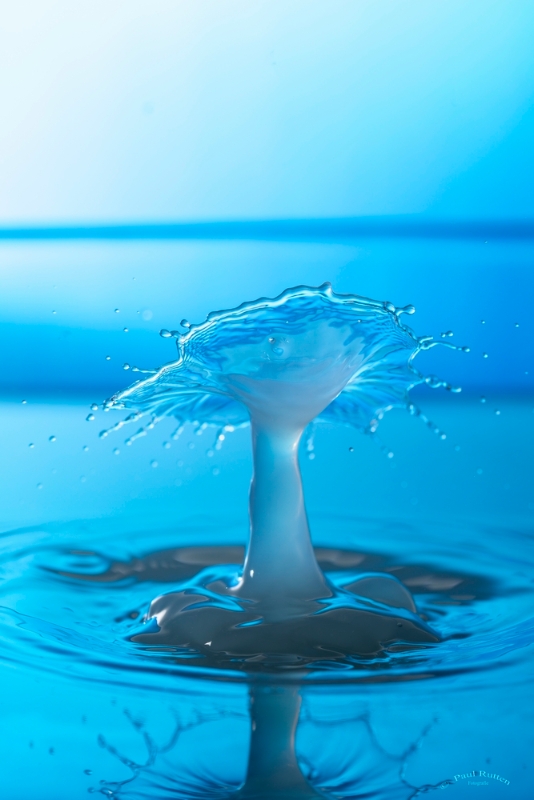 bdSplash  1  .JPG - Splash