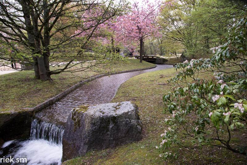 2019 Japanse tuin Hasselt (1 van 50).jpg - Japanse tuin Hasselt