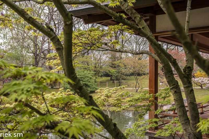 2019 Japanse tuin Hasselt (43 van 50).jpg - Japanse tuin Hasselt