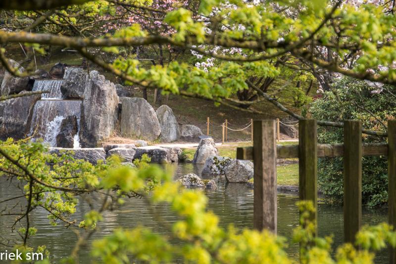 2019 Japanse tuin Hasselt (49 van 50).jpg - Japanse tuin Hasselt
