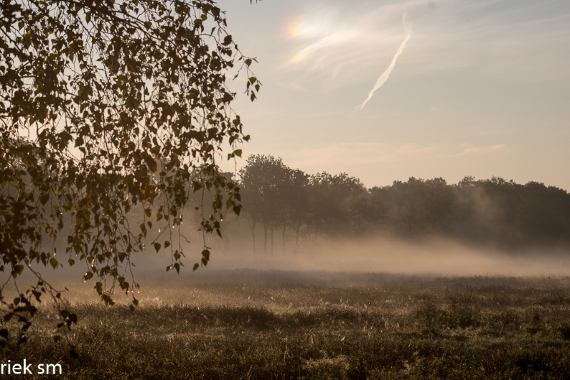 mistige ochtend (11 van 13).jpg - Mistige ochtend