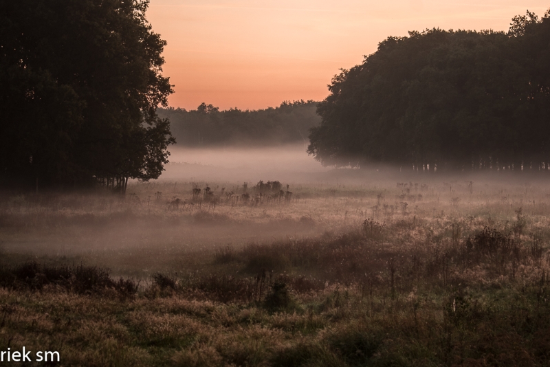 mistige ochtend (4 van 13).jpg - Mistige ochtend