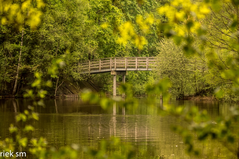 wandelbos Tilburg (11 van 16).jpg - Wandelbos Tilburg