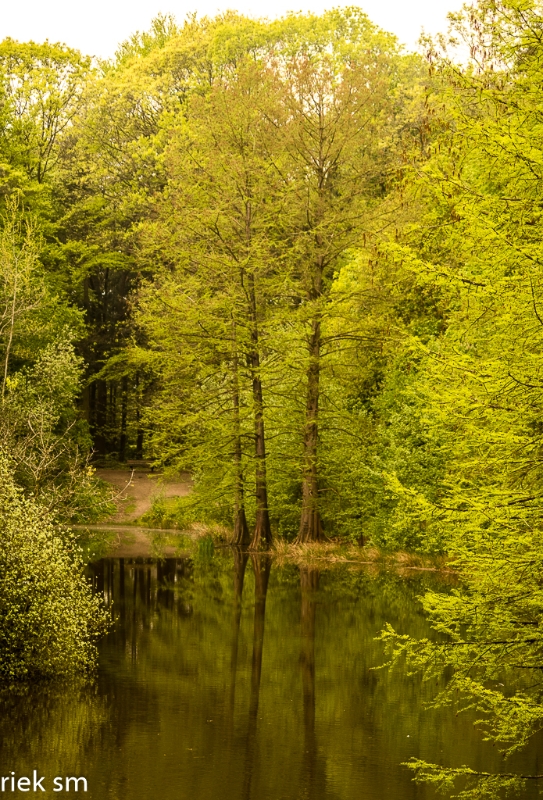 wandelbos Tilburg (14 van 16).jpg - Wandelbos Tilburg