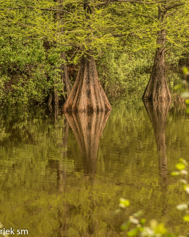 wandelbos Tilburg (4 van 16).jpg - Wandelbos Tilburg