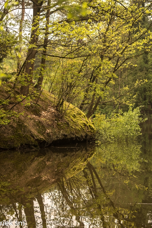 wandelbos Tilburg (9 van 16).jpg - Wandelbos Tilburg