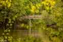 wandelbos Tilburg (11 van 16)