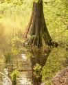 wandelbos Tilburg (13 van 16)