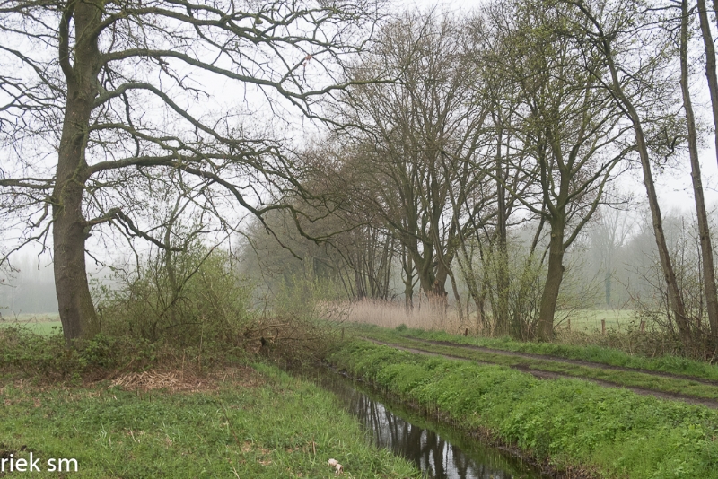 wandeling Tungelrooise Beek (1).jpg - Tungelrooise Beek