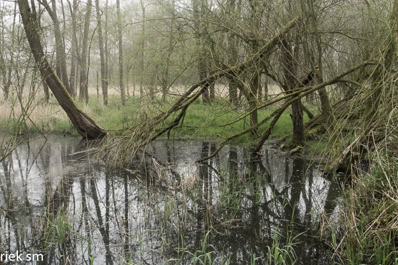 wandeling Tungelrooise Beek (14).jpg - Tungelrooise Beek