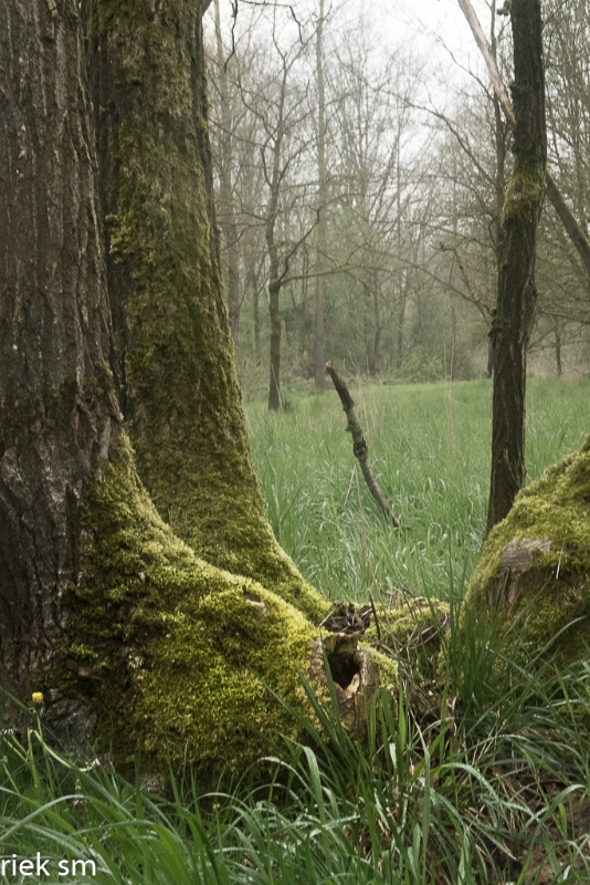 wandeling Tungelrooise Beek (15).jpg - Tungelrooise Beek