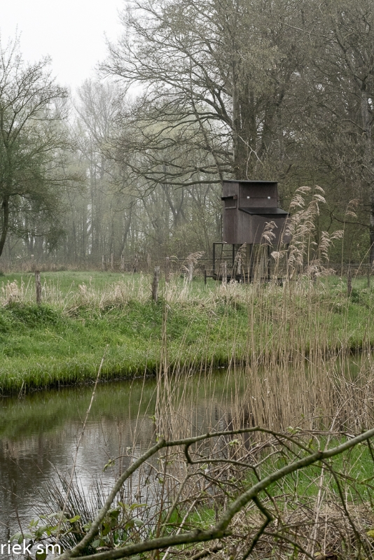 wandeling Tungelrooise Beek (16).jpg - Tungelrooise Beek