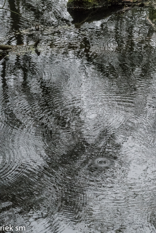 wandeling Tungelrooise Beek (17).jpg - Tungelrooise Beek