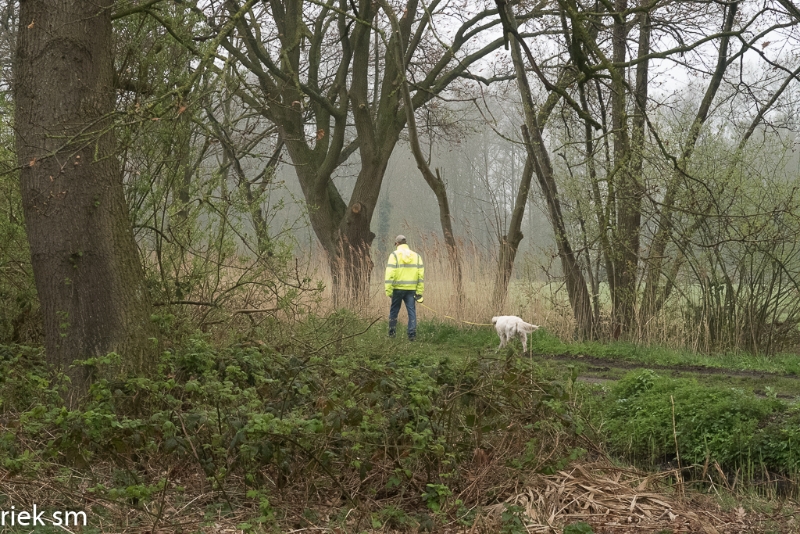 wandeling Tungelrooise Beek (2).jpg - Tungelrooise Beek