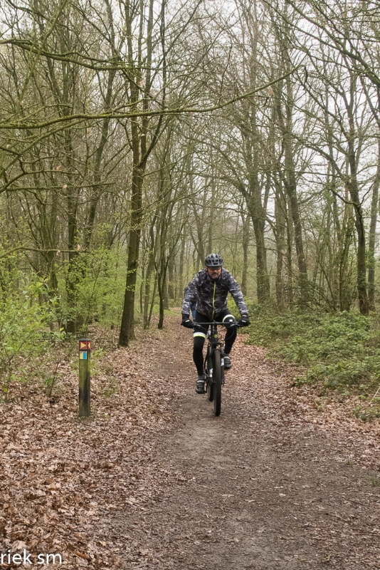 wandeling Tungelrooise Beek (21).jpg - Tungelrooise Beek