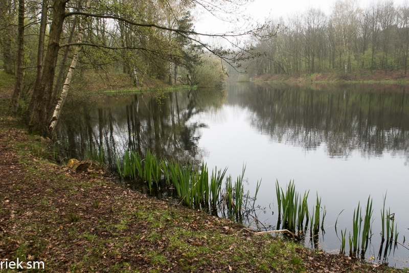 wandeling Tungelrooise Beek (22).jpg - Tungelrooise Beek