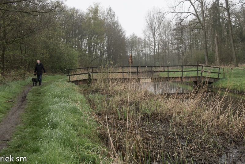 wandeling Tungelrooise Beek (24).jpg - Tungelrooise Beek