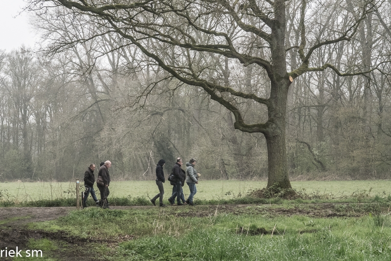 wandeling Tungelrooise Beek (26).jpg - Tungelrooise Beek