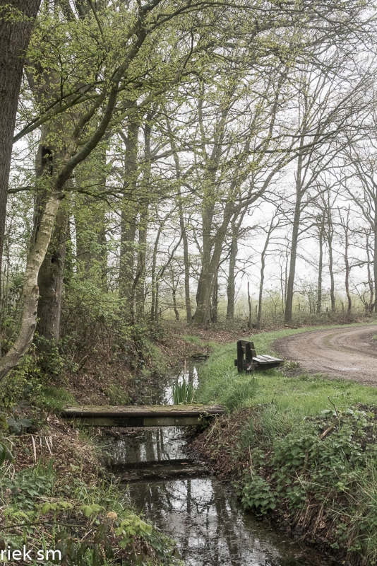 wandeling Tungelrooise Beek (27).jpg - Tungelrooise Beek