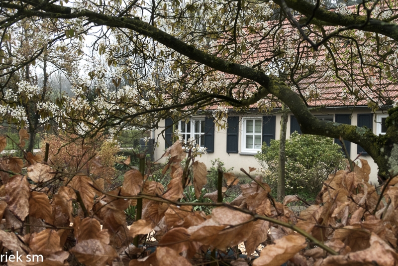 wandeling Tungelrooise Beek (29).jpg - Tungelrooise Beek