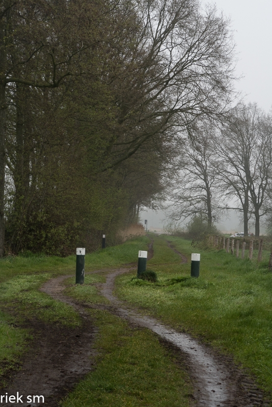 wandeling Tungelrooise Beek (31).jpg - Tungelrooise Beek