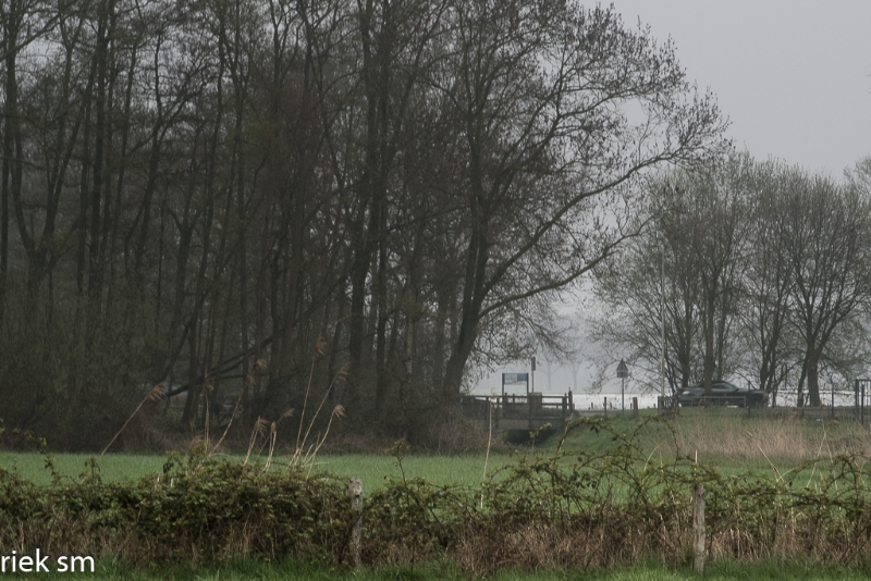 wandeling Tungelrooise Beek (32).jpg - Tungelrooise Beek