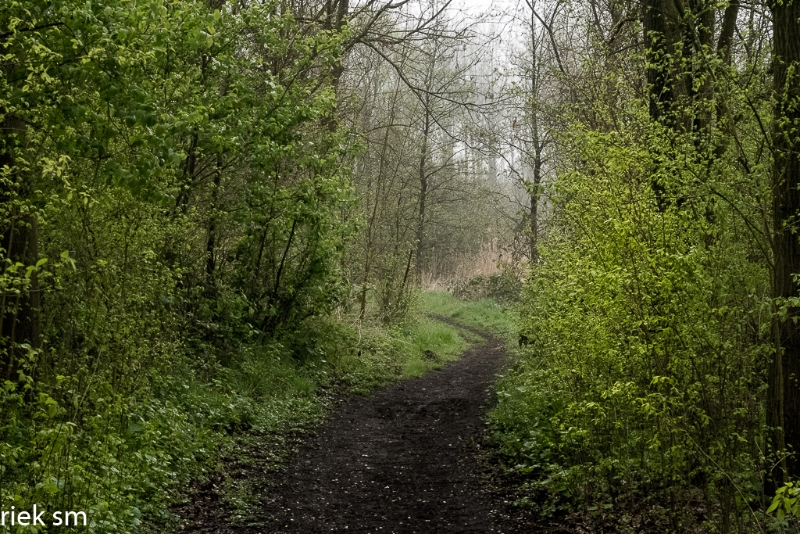 wandeling Tungelrooise Beek (4).jpg - Tungelrooise Beek