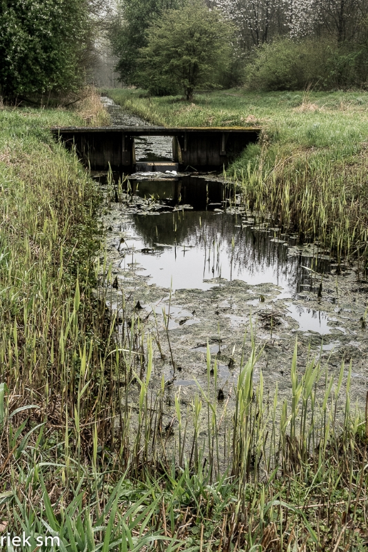 wandeling Tungelrooise Beek (7).jpg - Tungelrooise Beek