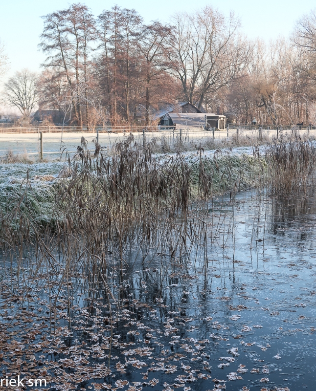 2022-12 winters weer (11).jpg - Winters weer