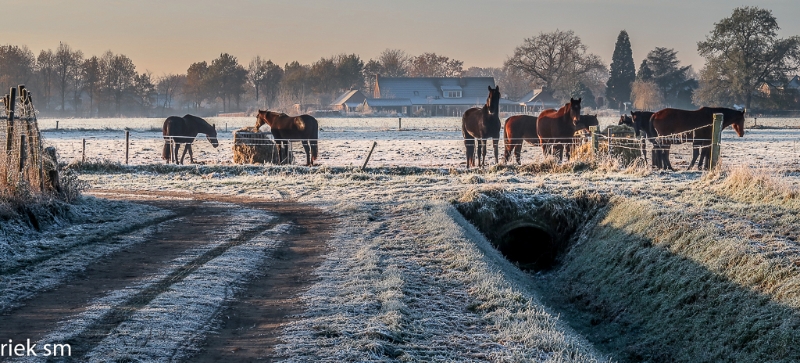 2022-12 winters weer (8).jpg - Winters weer