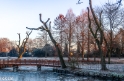 2022-12 winters weer (2)