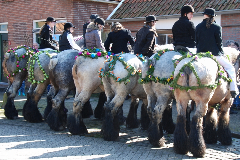 sized_DSC_1883.JPG - en maar kijken naar de kont van het paard