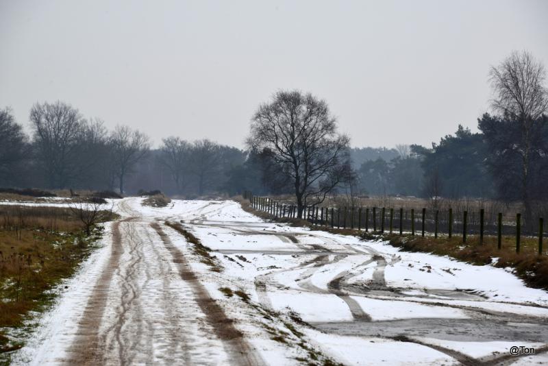 _DSC1216.JPG - Kranenveld bij Het Goor