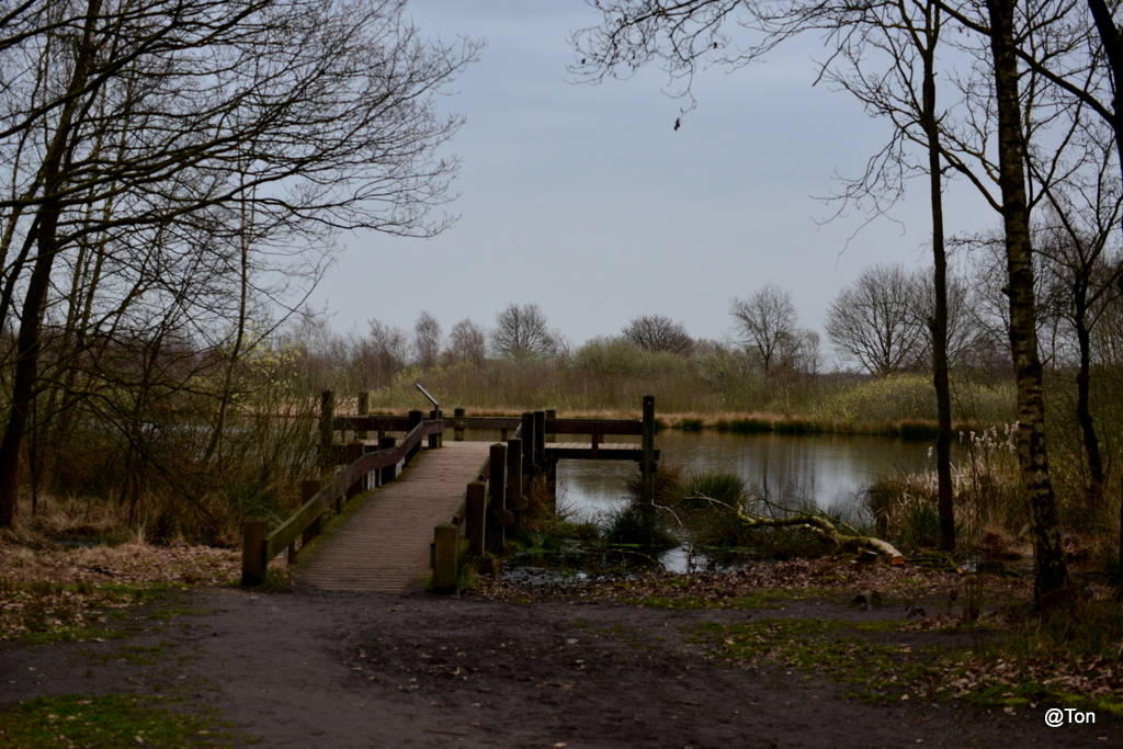 DSC_9677.JPG - Uitzicht op Meerbaansblaak