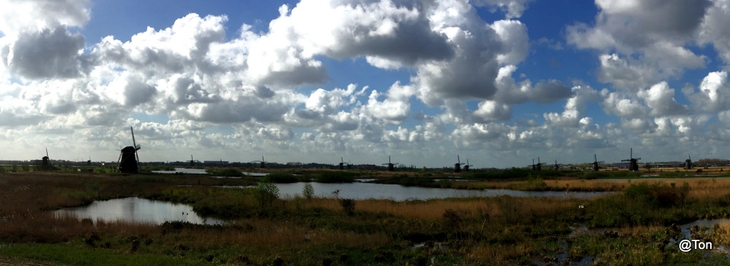 IMG_2605.JPG - Kinderdijk- panorama