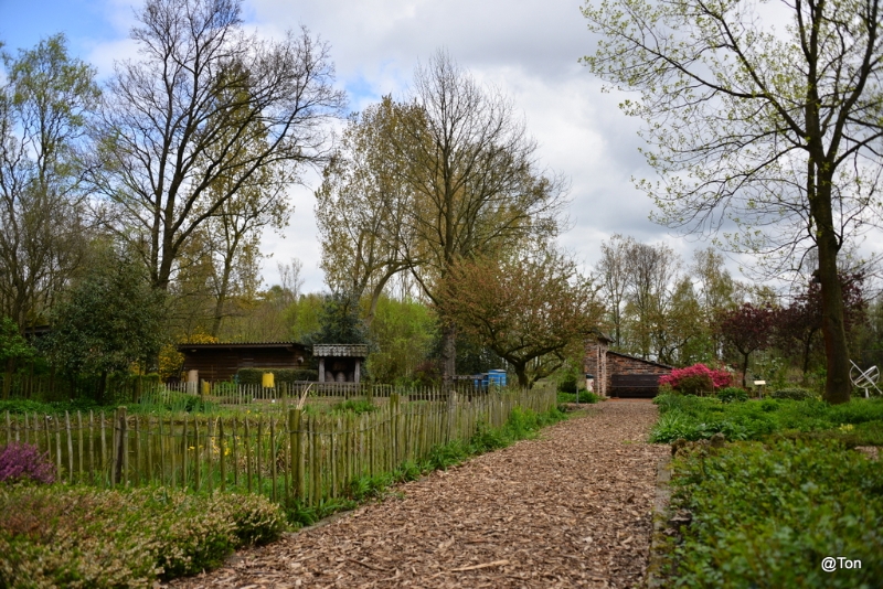 DSC_5749.JPG - De Immenhof