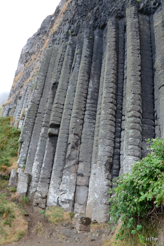 DSC_0164.JPG - Giant's Causeway