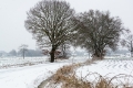 Sneeuwlandschap-2948