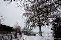 Sneeuwlandschap-2952