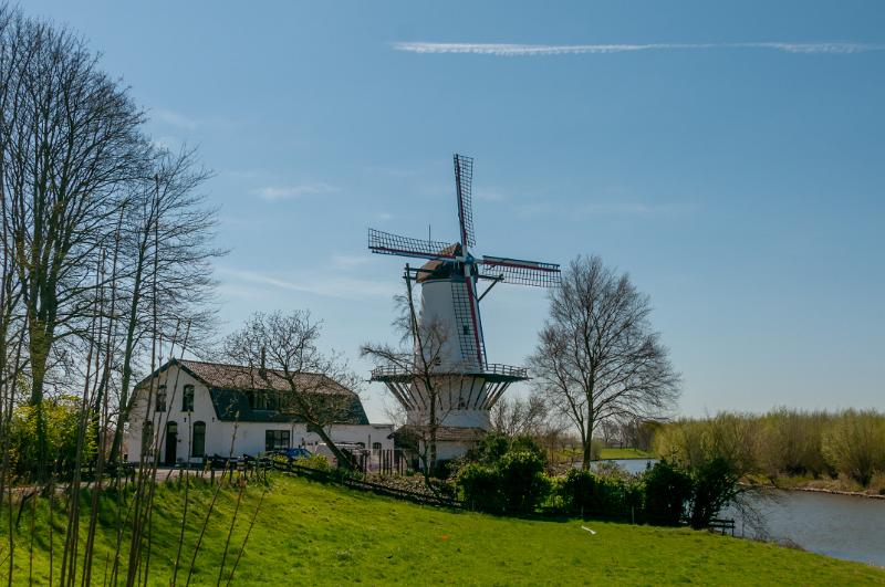 Molen-5574.jpg