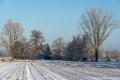 Winterlandschap